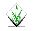 GRASS logo