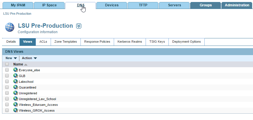 choosing the DNS tab