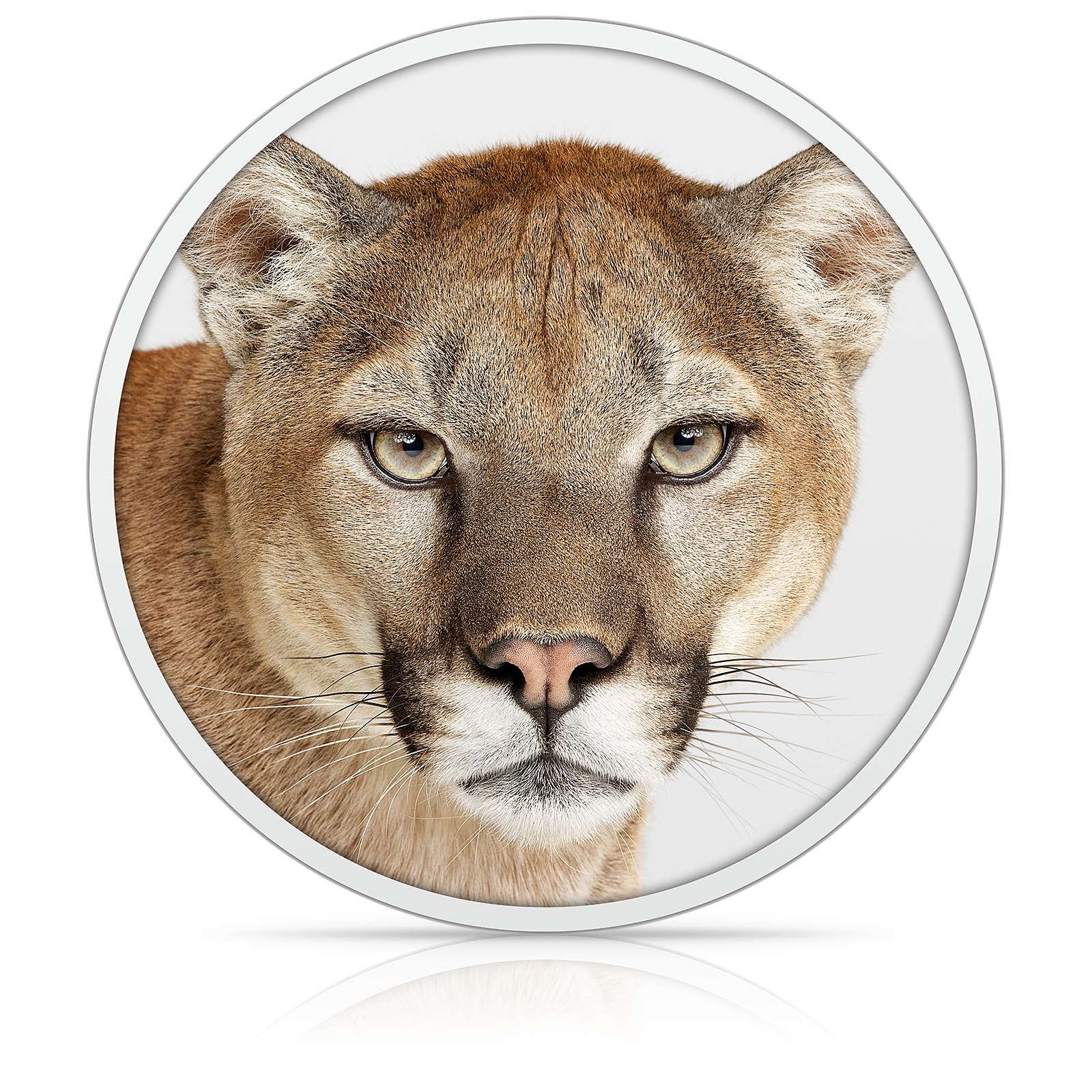 OS X Mountain Lion logo