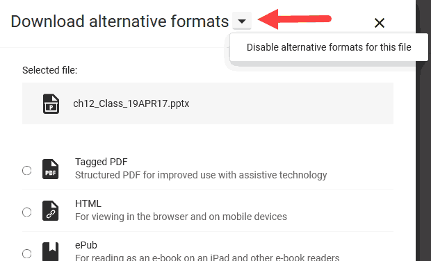 Ally alternative format download disable