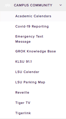 Campus community tab on myLSU portal page